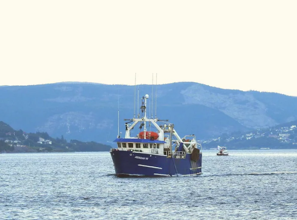 Industrie des pêches : un important clivage depuis le moratoire